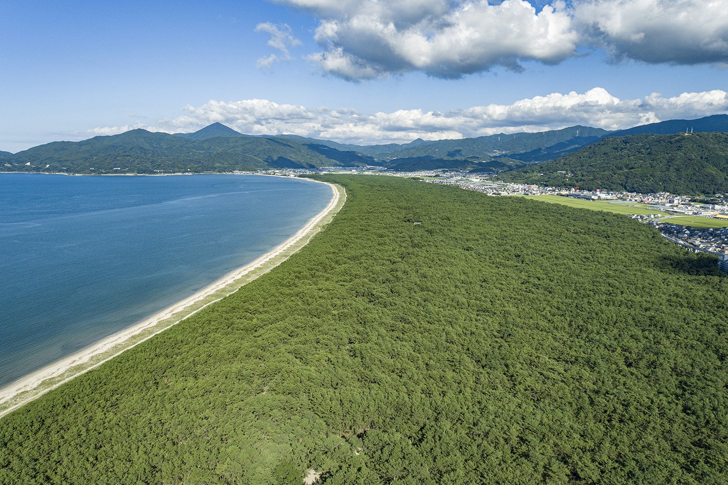 🌲 쓰다노마쓰바라 (현립 긴린 공원) 이미지 9